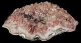 Pink Amethyst Geode Section - Argentina #113313-1